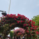 묵동장로교회 이미지