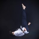 사계절푸른솔 태권도 이미지