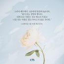 [CTS 말씀이미지] 요한복음 6장 35절 #말씀이미지 #감경철 #CTS #핸드폰배경화면 이미지