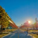 황산공원 축구장 이미지