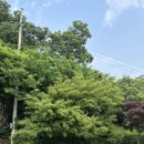 앙떼떼(entete) | 고양 카페 | 앙떼떼페레 주말 방문 후기