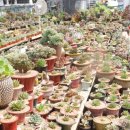 우암농장 이미지