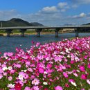 황룡강변 이미지