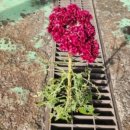 남청강정신건강의학과의원 이미지