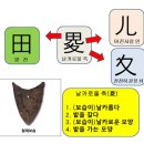 [고정숙 한자교실] 읍참마속(泣斬馬謖) 이미지