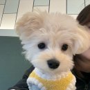 봄앤동물병원 이미지