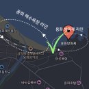 용화 | 강원도 삼척 용화해변, 용화방파제 후기 (주차, 샤워, 스노클 비교)