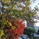 굴암경로당 이미지