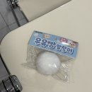 13. 기꺼이 청춘을 낭비하는 법