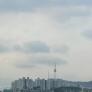 카라멜리에오