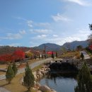 장계관광지 이미지