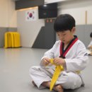 누리태권도장 이미지