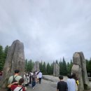 인생비어 | 오사카 유니버셜 스튜디오 해리포터 존 완전정복｜버터비어·마법지팡이·젤리빈 후기