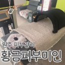 건강미인피부미인샵 | 원주피부관리) 황금피부미인 90분코스 상체관리까지 5만원대