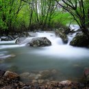 백운동 계곡 이미지