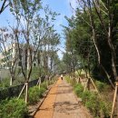 흑석산책로 이미지