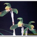 청포마을 이미지