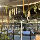 록시드갸토 미사점 이미지