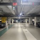 드라이브 | 수원운전연수 내돈내산, 10시간 방문형 교육 캔유드라이브 후기