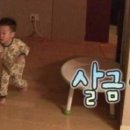 녹주 이미지