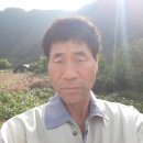 단양군가곡면대대보건진료소 이미지