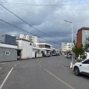 서귀중앙초등학교 이미지