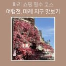 감일지구 추가구간 | 파리 마레지구 쇼핑 공사구간 솔직 프리뷰, 조용한 카페 추천!