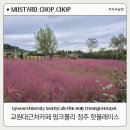 교원대근처카페 핑크몰리 청주 핫플레이스
