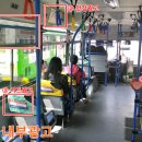 자양치안센터 앞 이미지