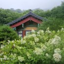 제비집 이미지