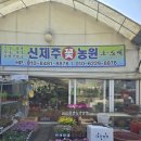 신제주농원