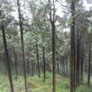 느랭이골자연리조트 이미지