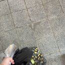 교리동길-3 | 사실은 외로움 극복기라고