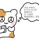 하암