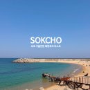 속초 여행 가볼만한 해변투어 리스트 등대해수욕장 속초해수욕장 속초아이 대포항