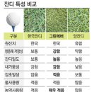 그린에버 이미지