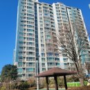 반도보라 이미지