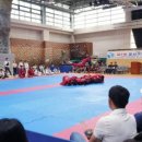 용인대 화랑 합기도 이미지