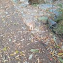 덕고개농장 이미지