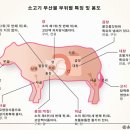 가보곱창