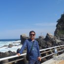 헌화로 Daum카페
