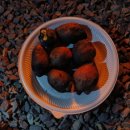 운문산 군립공원야영장 이미지