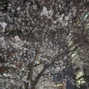 파리바게뜨 명서점 이미지