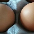 승일농장 이미지