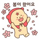 9K클린 네이버블로그