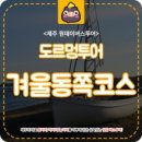 제주원데이투어 이미지