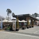 데이앤데이