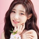 스킨헤빗