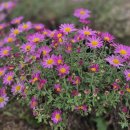 의료법인 인봉의료재단 | 침대에서 자꾸 소리가 난다고 하는 아버님