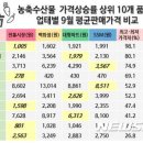 시장종합마트 이미지